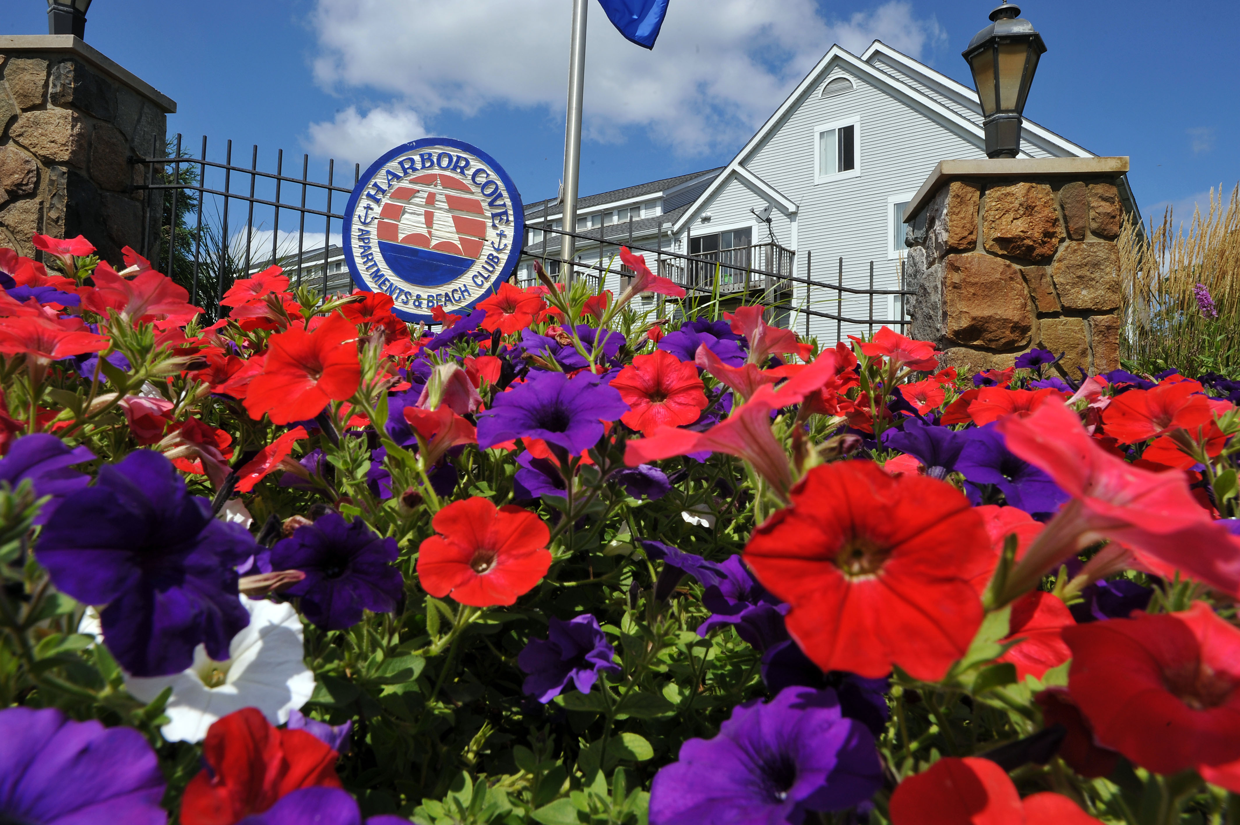 Front on Harbor club main sign with vibrant flowers lining the front